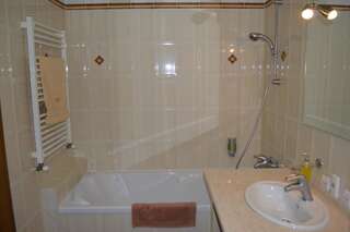 Отель Отельный комплекс Бахус Ужгород Стандартный двухместный номер с 1 кроватью-11